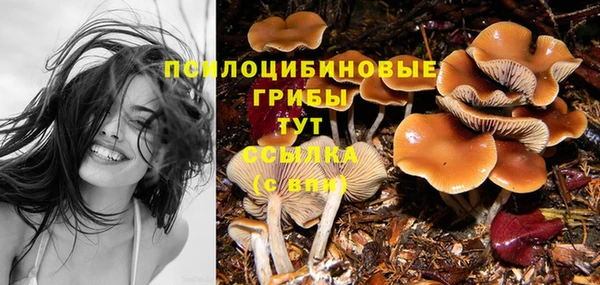 гидропоника Ладушкин