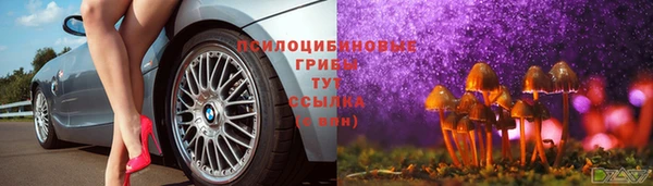 амфетамин Лабытнанги