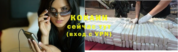 дмт Кукмор