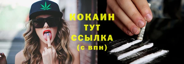 ECSTASY Лагань