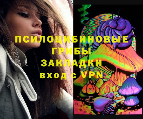 ECSTASY Лагань
