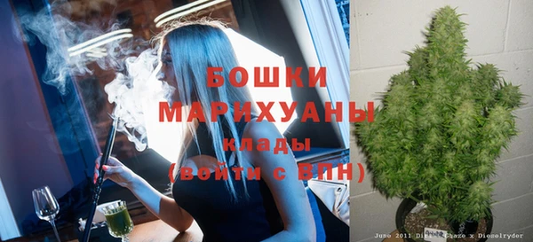 гидропоника Ладушкин