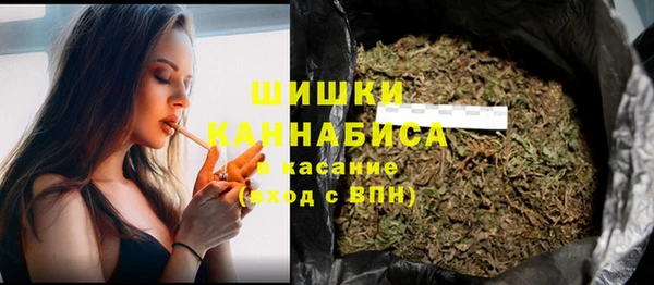 гидропоника Ладушкин