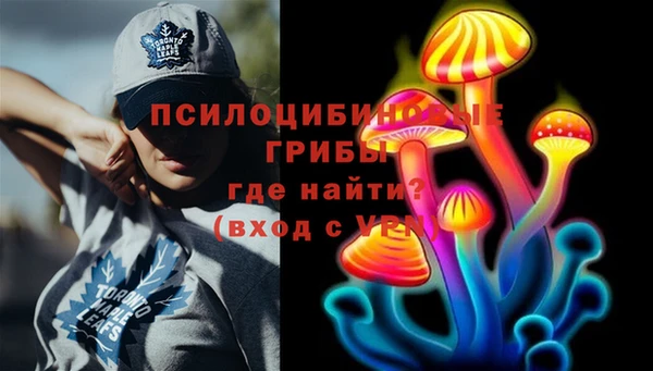 ECSTASY Лагань