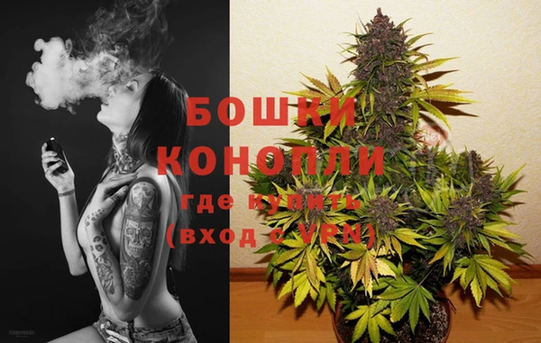 гидропоника Ладушкин