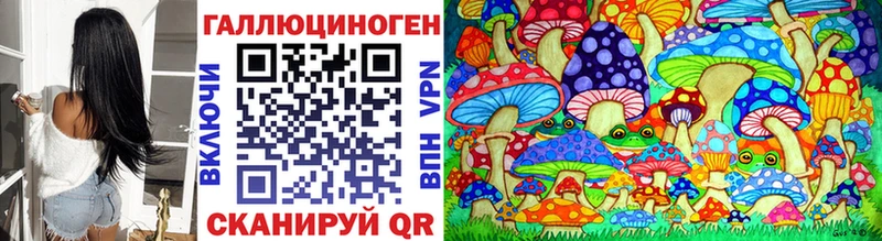 Псилоцибиновые грибы Cubensis  Лакинск 